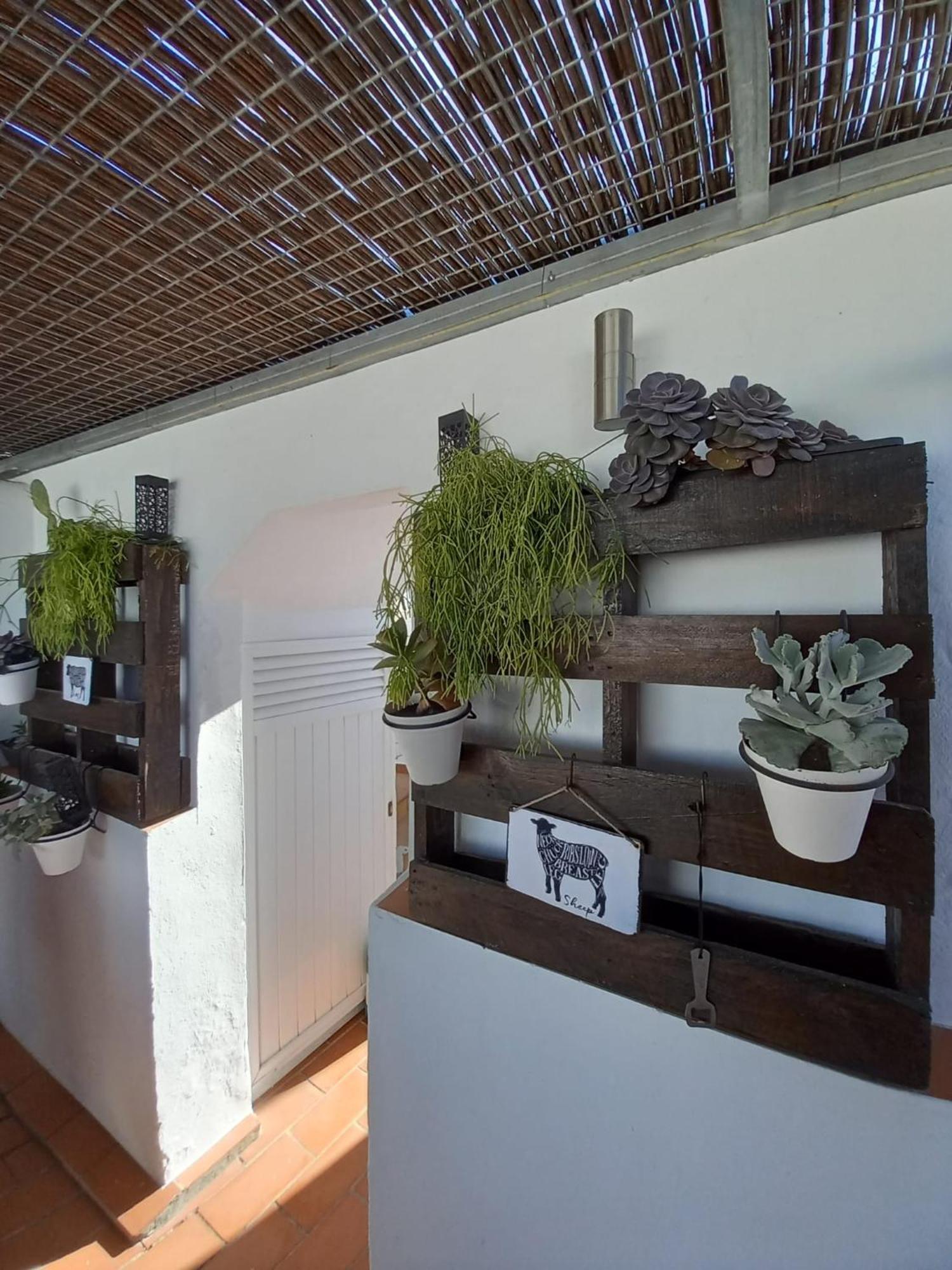 Casa El Molino Βίλα Conil De La Frontera Εξωτερικό φωτογραφία
