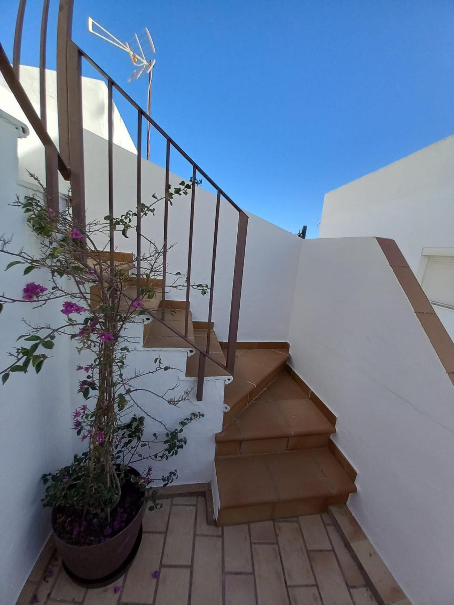 Casa El Molino Βίλα Conil De La Frontera Εξωτερικό φωτογραφία